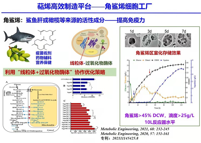 突破綠色化工瓶頸 《代謝工程》報道我校萜烯高產細胞工廠開發的最新進展與生物防治技術服務前景