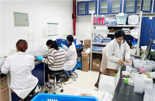 以蟲治蟲 南開創業團隊研發生物防治技術，助力鄉村振興